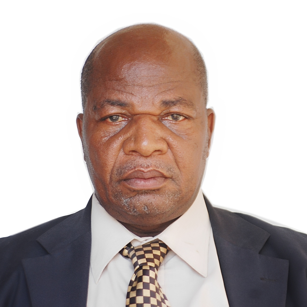 ENGR. DR. EBITEI CHARLES, FNSE, FINAE, FNIMMME