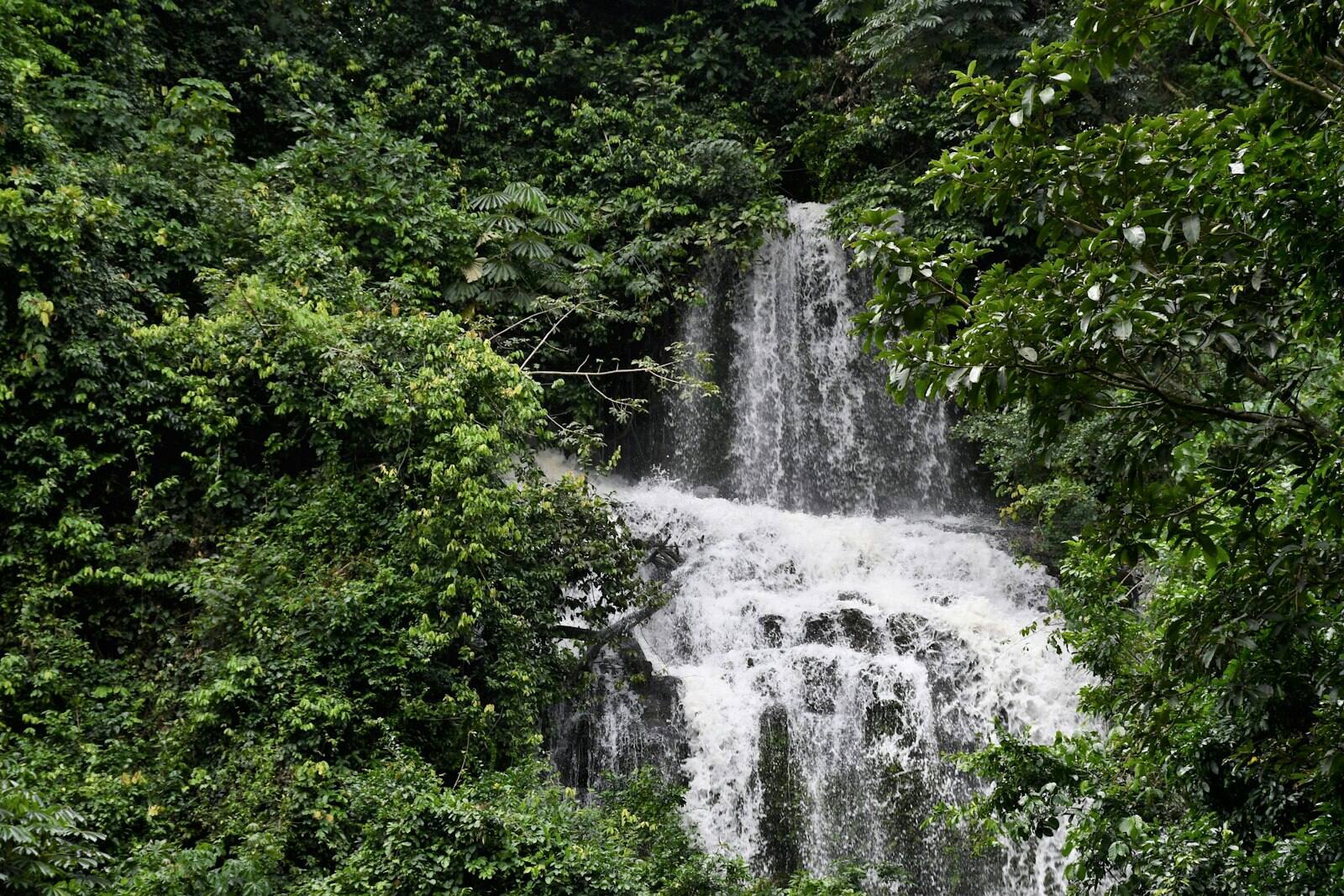 Eco & Nature Escapes